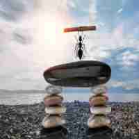 自‍动‍技‍术​教﻿程﻿软‍件​